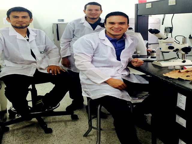 Laboratorio de diagnóstico fitosanitario del ICA en Cúcuta aliado de los productores agrícolas  