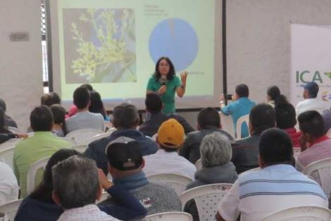 Productores del Huila se capacitan en el manejo fitosanitario del cultivo de aguacate y en la protección a los polinizadores