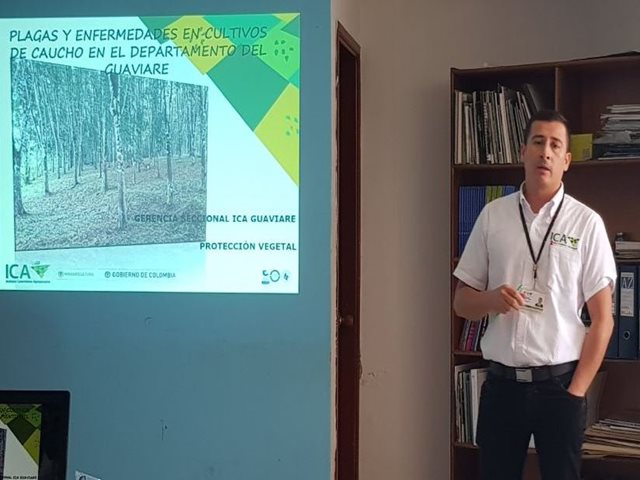 El ICA participó de la cadena regional del caucho para fortalecer ese sector productivo en Guaviare