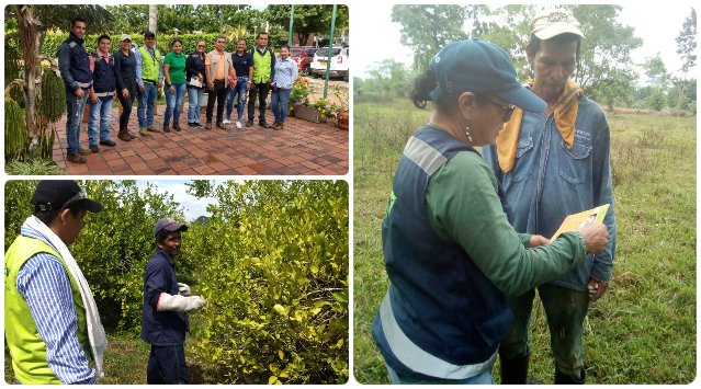 FOTO-COLLAGE-ICA-BRIGADA-HLB-NORTE-SANTANDER.jpg