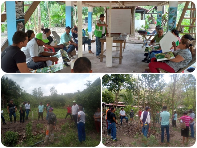 Cultivadores de La Guajira se capacitan en producción de vegetales para exportación en fresco