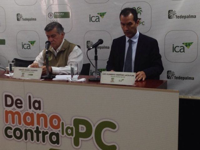 Ministerio de Agricultura, ICA y FEDEPALMA, lanzan campaña contra la Pudrición del Cogollo