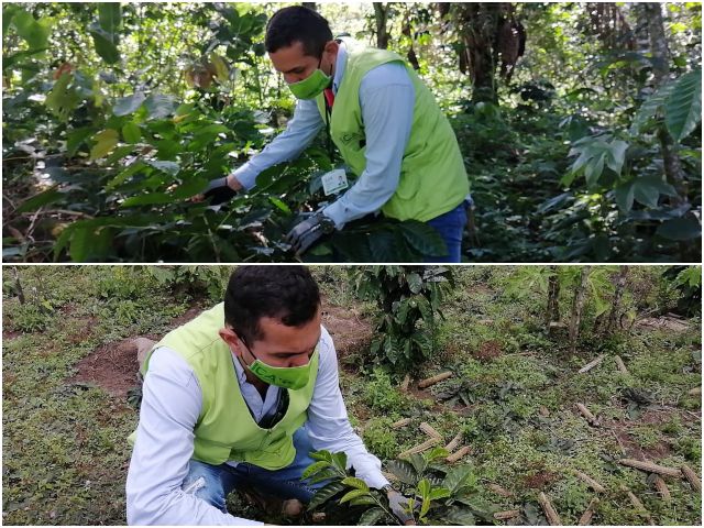Visitas de inspección en Támara, Casanare.