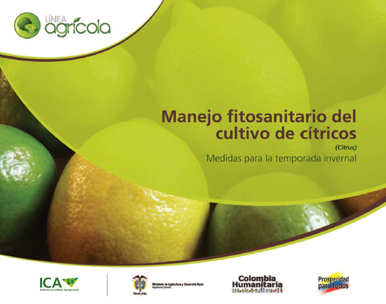 Imagen de Manejo fitosanitario del cultivo de cítricos