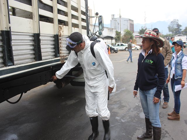 El ICA realiza acciones  de desinfección de vehículos y animales en Norte de Santander