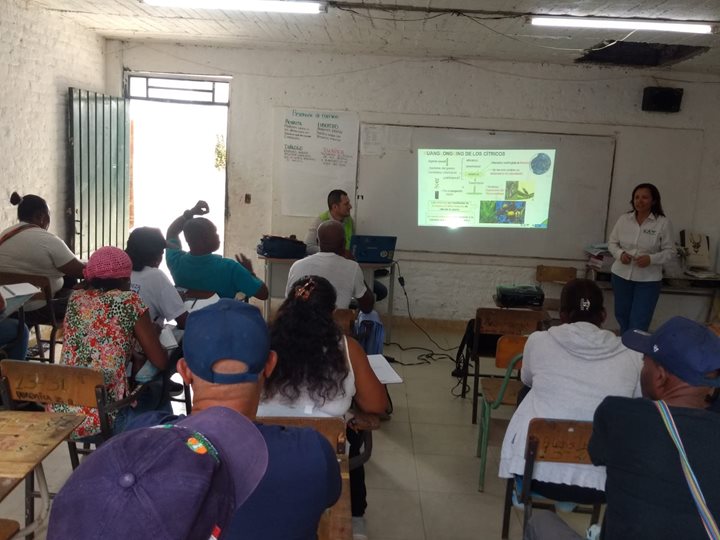 Boletin-HLB-1.jpg Boletin-HLB-1.jpg