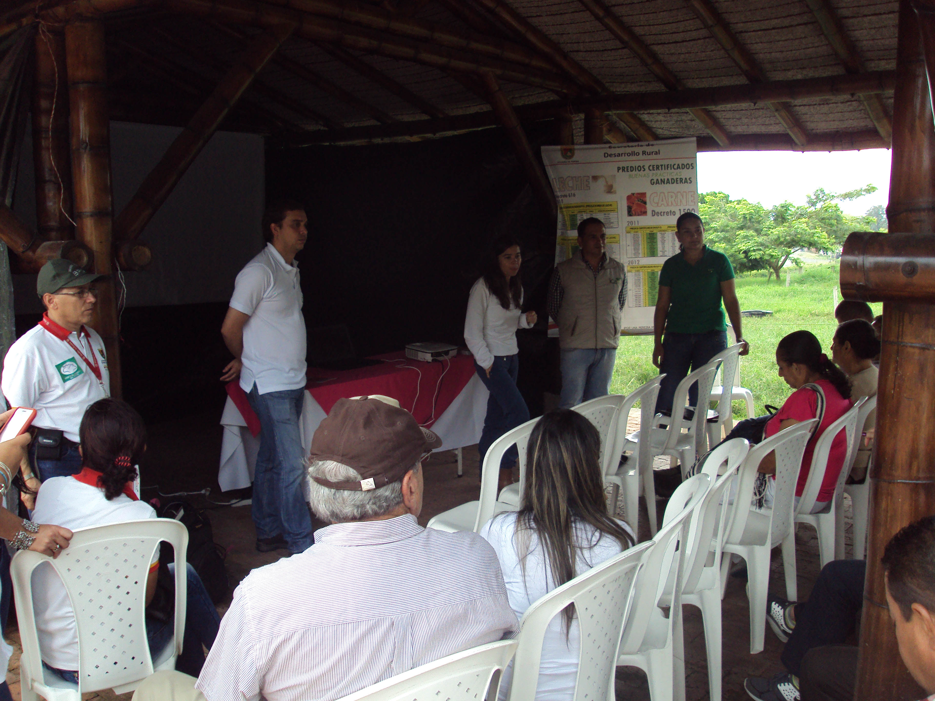 Identifica-03-Pereira.JPG