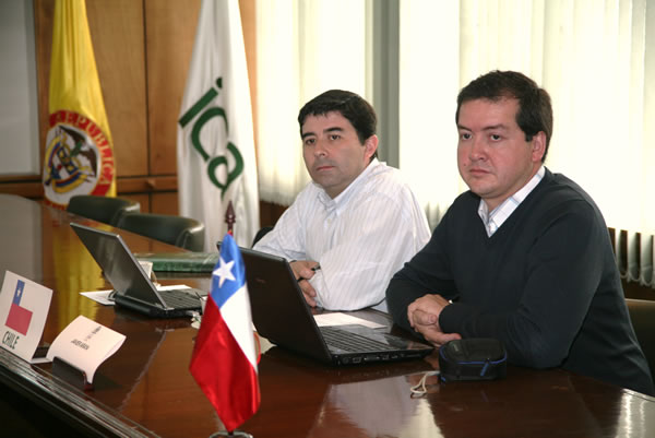 Avanza proceso para abrirle el mercado chileno a la carne