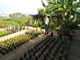 Vivero-03.jpg Vivero-03.jpg