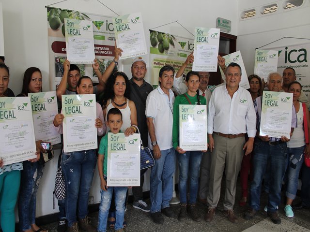 Viveristas del Tolima comprometidos con la comercialización de material vegetal 