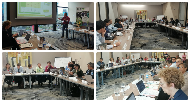 El ICA presentó las acciones emprendidas para hacerle frente al FOC R4T en Colombia