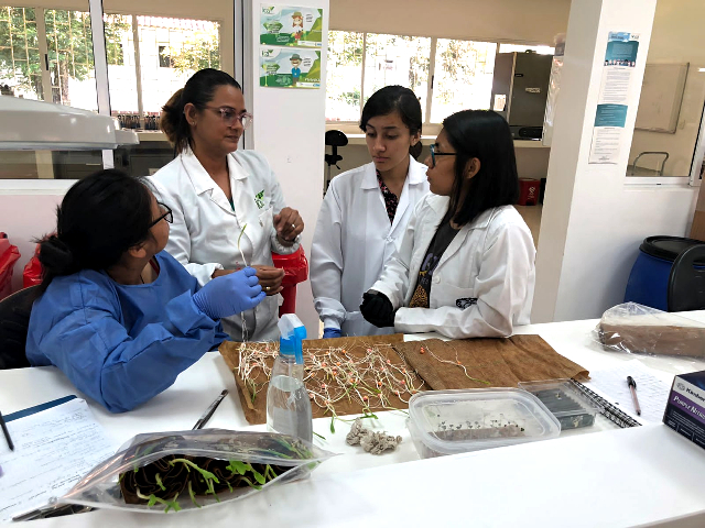 El ICA en el Valle del Cauca orientó a los futuros profesionales del sector agropecuario