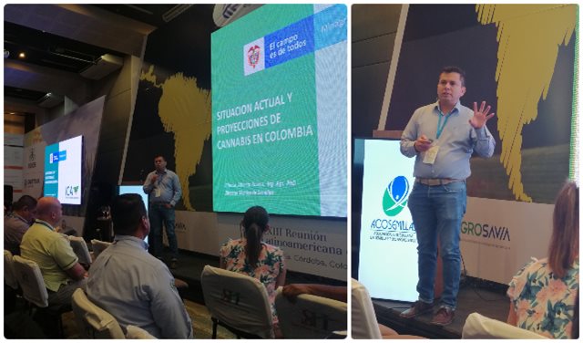 El ICA presentó la situación actual y las proyecciones de cannabis en Colombia