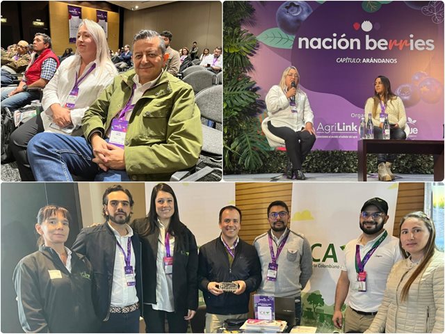 El ICA fortalece su alianza con el sector productivo y de comercio internacional del cultivo de arándanos