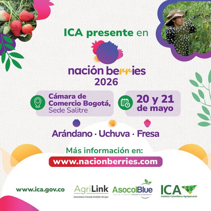 NACION-BERRIES.jpeg