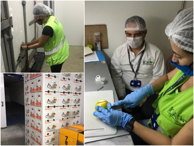 Inspección narajanas de exportación. 