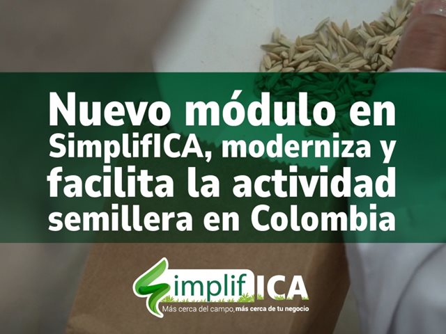 Plataforma Simplifica 