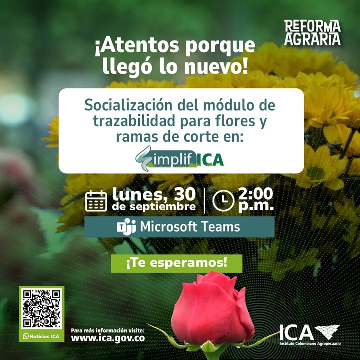 CAPACITACION-FLORES-DE-CORTE.jpeg
