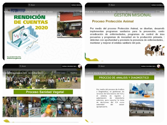 Logros y actividades del ICA para fortalecer el sector agropecuario del Cauca
