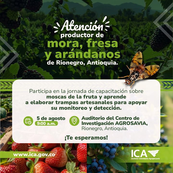 ARANDANOS.jpeg