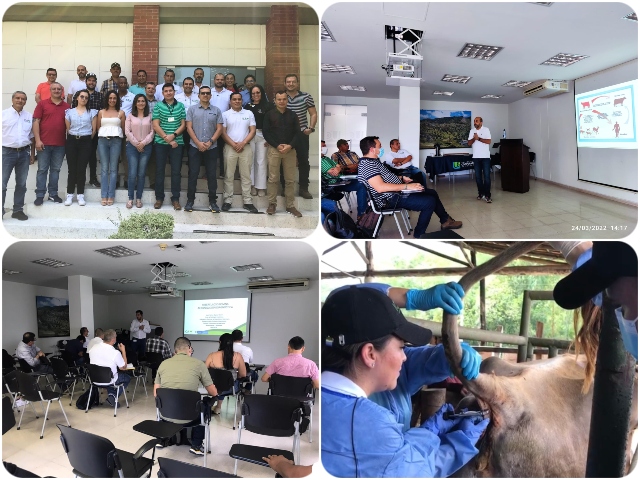 El ICA realiza jornadas de socialización del Programa Nacional de Tuberculosis Bovina