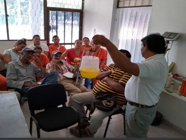 El ICA socializó con productores agrícolas la resolución sobre las medidas fitosanitarias para el control de las moscas de la fruta