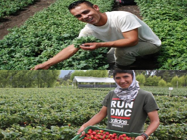 Corazones solidarios por el campo colombiano