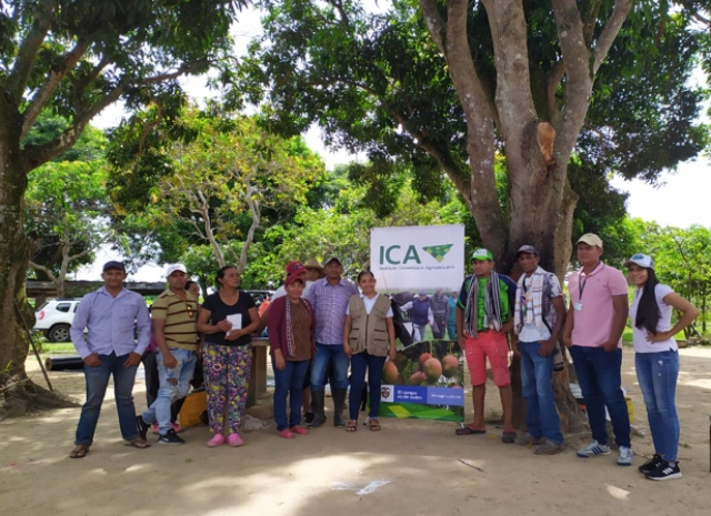 En Vichada, los productores de caña de azúcar fortalecen la calidad e inocuidad de su producción 