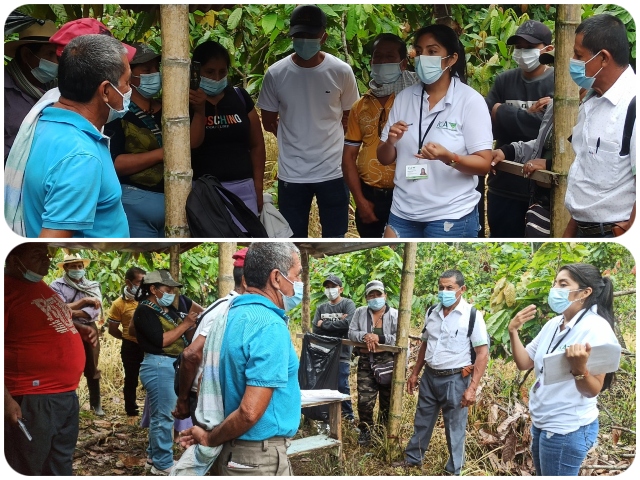 Socialización sobre BPA con productores de cacao del Putumayo.