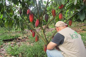 ICA-y-la-gobernacion-del-Casanare-firmaron-convenio-para-fortalecer-la-sanidad-agropecuaria-del-departamento-1.JPG