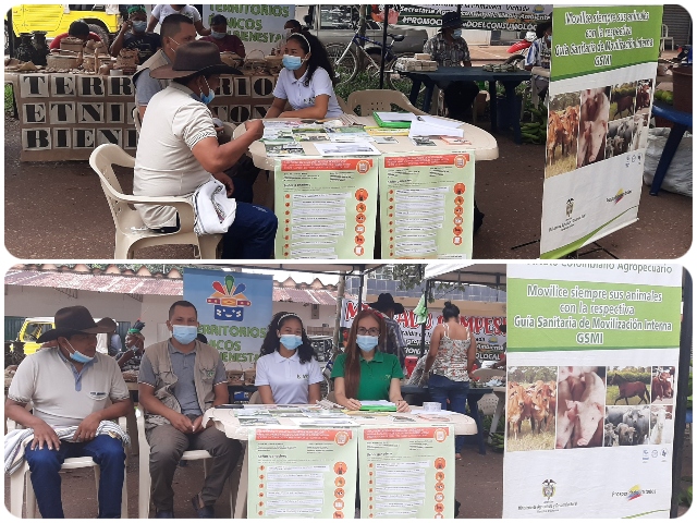 En el Municipio de La Primavera – Vichada, se realizó el    cuarto mercado campesino