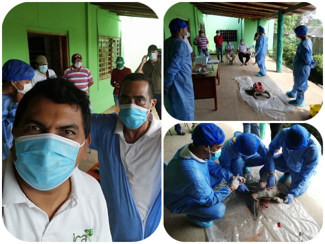 Taller sobre rabia de origen silvestre 