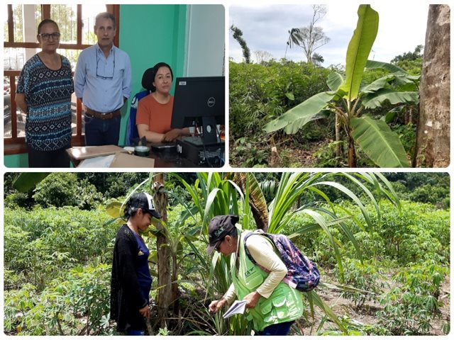  Para un mejor servicio, funcionarios del ICA amplían sus conocimientos para atender plagas en cultivos
