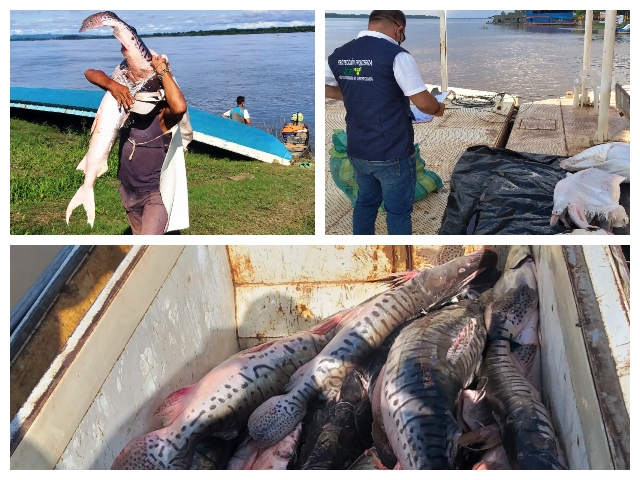 En Puerto Carreño, el ICA inspecciona  productos agropecuarios que ingresan para el consumo humano 