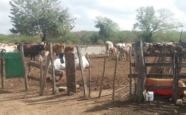 En La Guajira, el ICA acompaña 523 predios en el proceso de Autorización Sanitaria y de Inocuidad, ASI