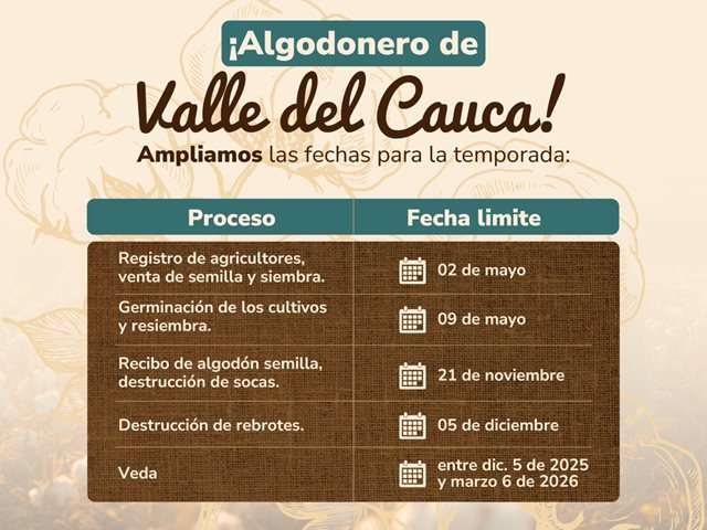 Se extendieron las fechas de la temporada algodonera en el Valle del Cauca.
