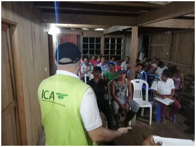 A comunidades indígenas del Amazonas llega el programa nacional de fiebre aftosa 