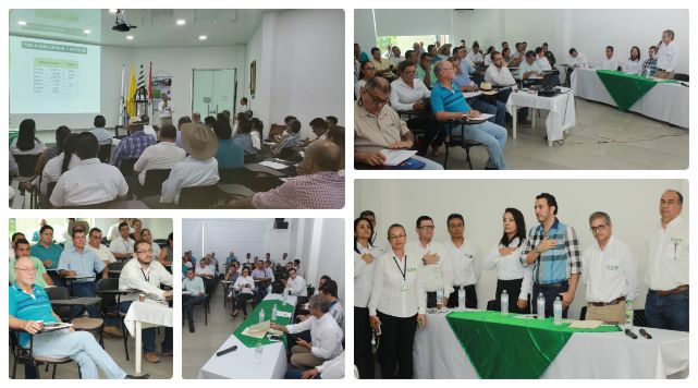 collage-ICA-rendicion-cuentas-meta.jpg