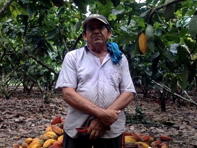 “Acatar y poner en práctica las recomendaciones impartidas por el ICA, nos ha dado resultado”: productor de cacao