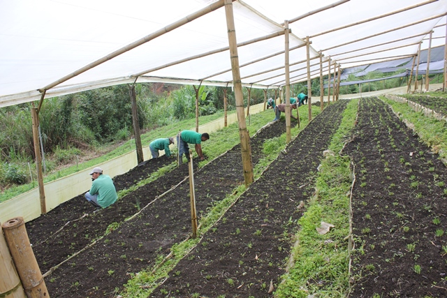 En Quimbaya, Quindío, el ICA capacitó a granjeros del Parque Nacional de la Cultura Agropecuaria, PANACA