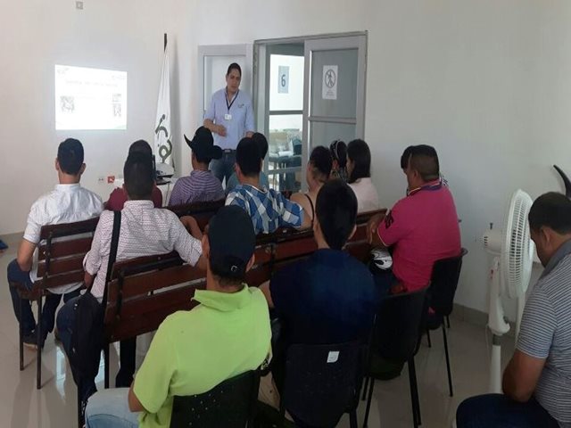Arauca trabaja para la implementación de la Libreta Sanitaria Equina, LSE 