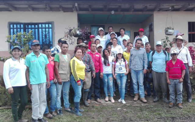 En La Plata, Huila, el cultivo del café avanza con calidad y aroma 