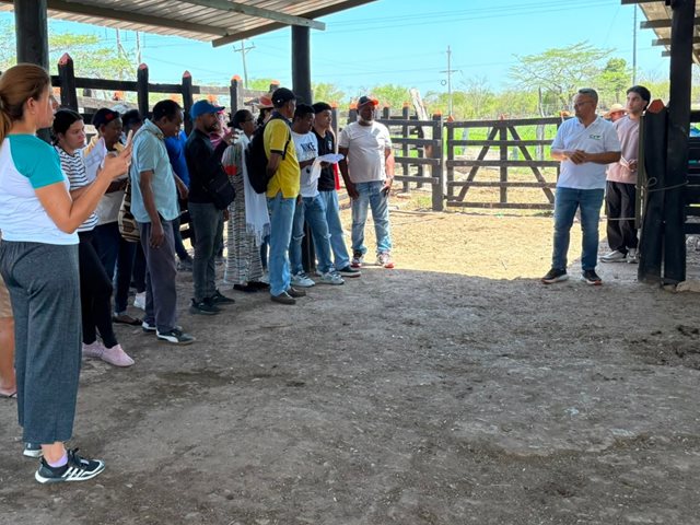 Participantes en la jornada. 
