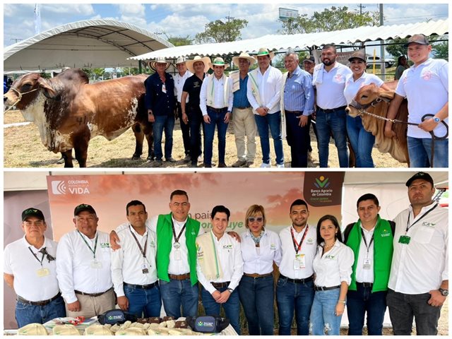 ICA presente en Agroshow Pajonales 2024, sostenibilidad, competitividad y oportunidades para el sector agropecuario y agroindustrial del Tolima
