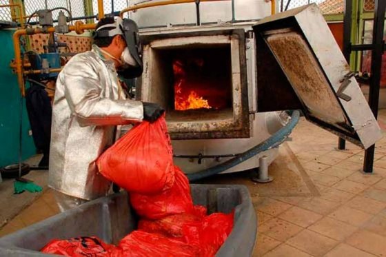El ICA destruyó más de 15 mil dispositivos de identificación nacional de animales sacrificados en plantas de beneficio 