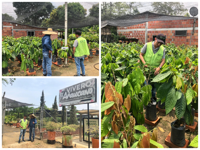 Visita técnica a vivero El Araucano