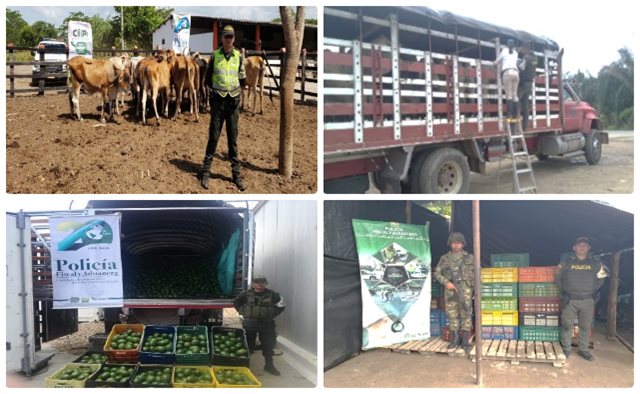 Acciones operativas del CIIIP permitieron la incautación de millonaria mercancía en productos agropecuarios de contrabando