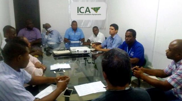 El ICA establece alianza con entidades del sector agrícola para beneficiar a los productores de cacao del Chocó
