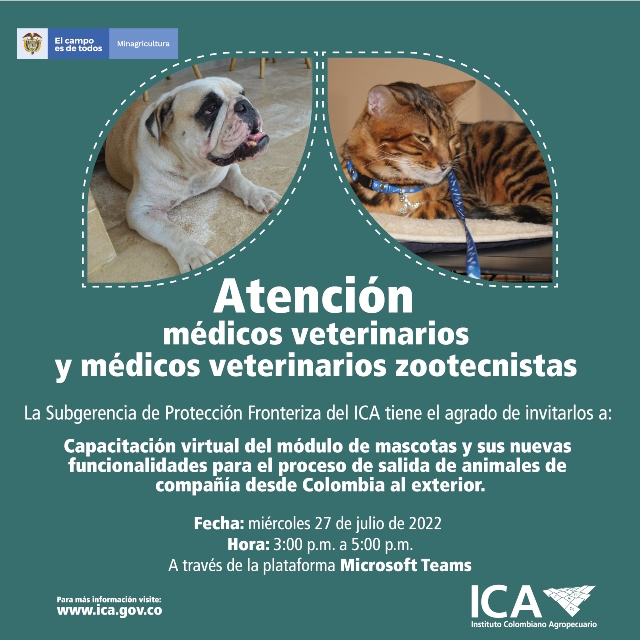 Invitacion-Mascotas.jpg