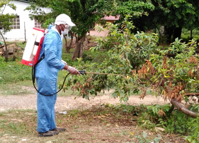 Por una producción de guayaba sana, el ICA visita los predios agrícolas de San Andrés, Providencia y Santa Catalina